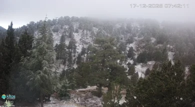 Screenshot-2025-12-17-074026