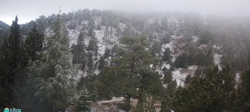 Screenshot-2025-12-17-074026