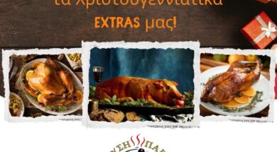 WhatsApp Image 2025-12-19 at 09.33.25