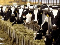 b82ef368fabefd7b79500ade75e06aa5_M