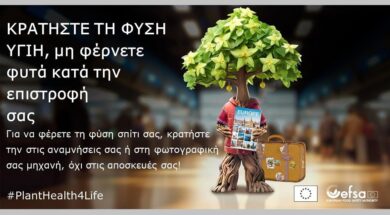 cache_1300x500_Analog_medium_427311_174737_25_07_07_140930