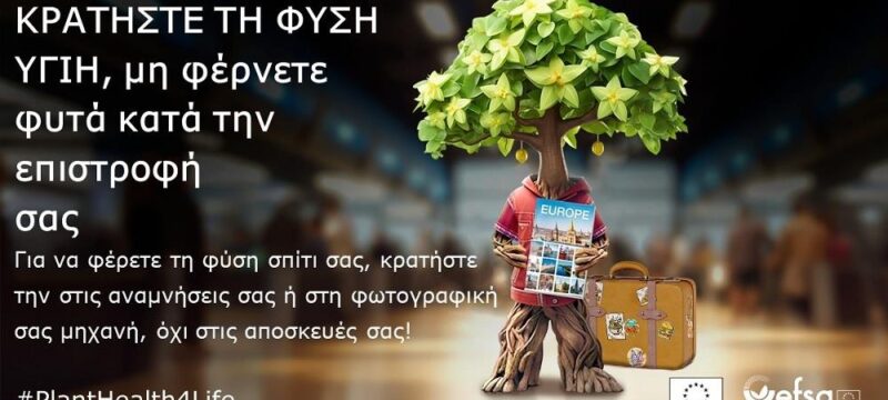 cache_1300x500_Analog_medium_427311_174737_25_07_07_140930