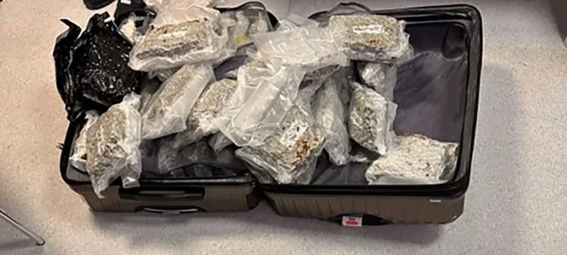 doc202409027230644tmimatelonionkatasxesinarkotikon-thumb