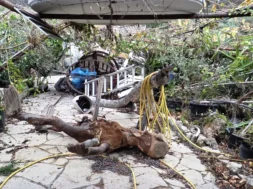 doc202512069501471talaanemostrovilos1_1-thumb