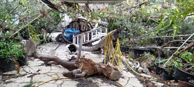 doc202512069501471talaanemostrovilos1_1-thumb