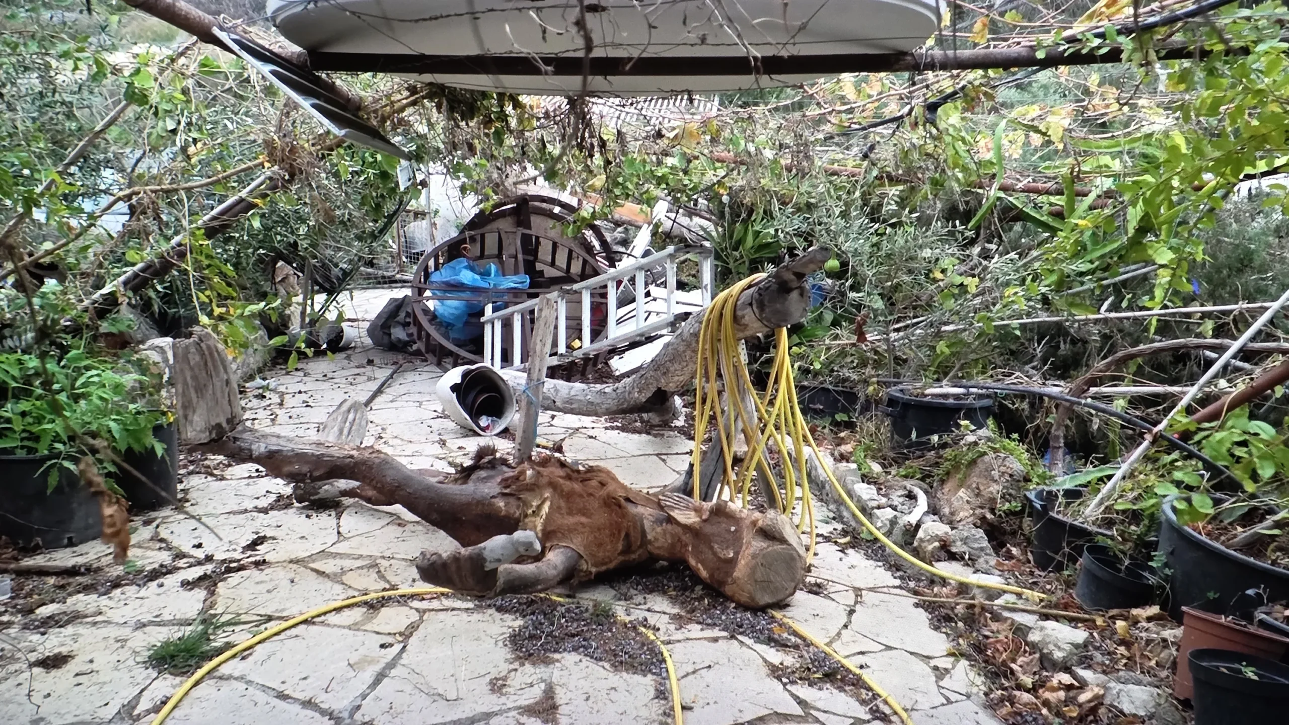 Ανεμοστρόβιλος έπληξε την Πάφο – Δέντρα έπεσαν σε υποστατικά (φώτο)