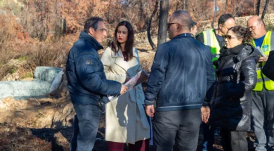 doc202512199562598ypgeorgias_2-thumb