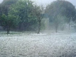 e1b789ac7f6ef87314e9c6e4555559d7_l-thumb