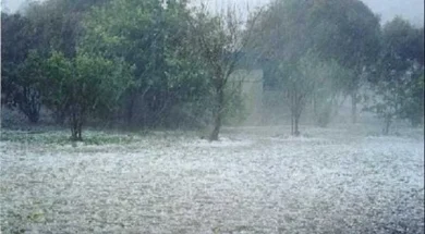 e1b789ac7f6ef87314e9c6e4555559d7_l-thumb