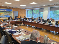 Επιτροπή Οικονομικών