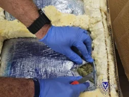 g7vnkpzw0aay6ss-thumb