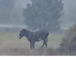 gaidouraki_1536x823-thumb