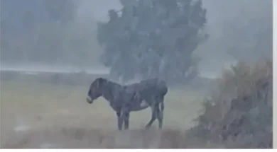 gaidouraki_1536x823-thumb