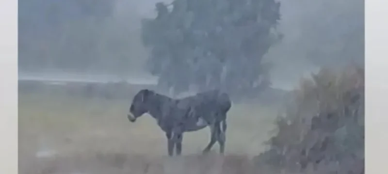 gaidouraki_1536x823-thumb