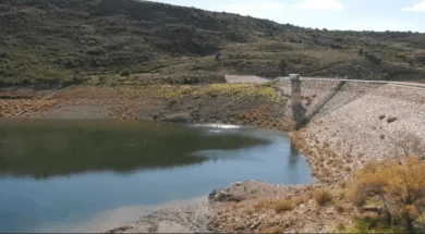 image_19_1068x521-thumb (1)