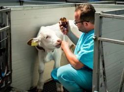 img_3046-1.766×0-is