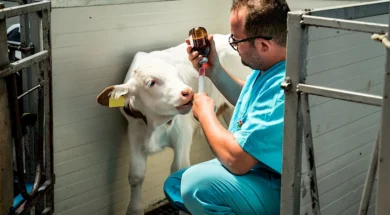 img_3046-1.766×0-is