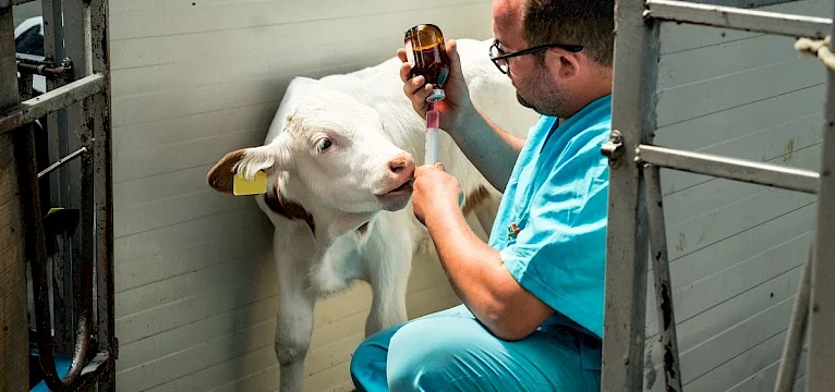 img_3046-1.766×0-is