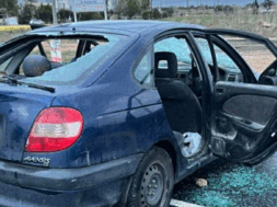 liopetri-landscape-2