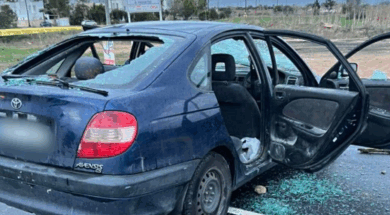 liopetri-landscape-2