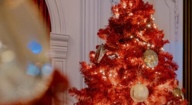 lushbeachbar_1765807219_3788187971439505731_1530284138