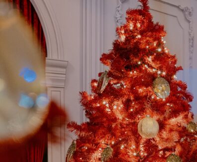 lushbeachbar_1765807219_3788187971439505731_1530284138