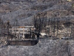 malia-2573-1068×657