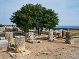 mnimia.width-1920 (1)