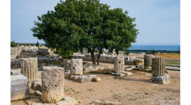 mnimia.width-1920 (1)