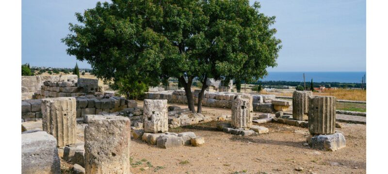 mnimia.width-1920 (1)