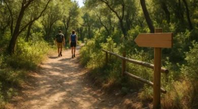 monopatia-igoumenitsa