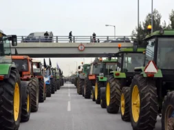 mploko_agroton-thumb