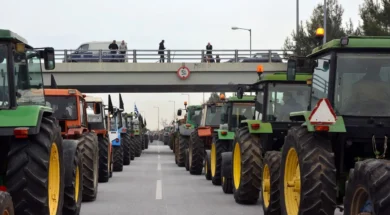 mploko_agroton-thumb