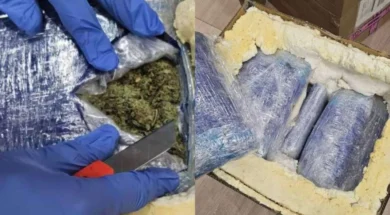 narkotika_12kg_taxudromio_912_1068x657-thumb