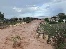 polis-large_thumbnail (1)