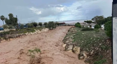 polis-large_thumbnail (1)