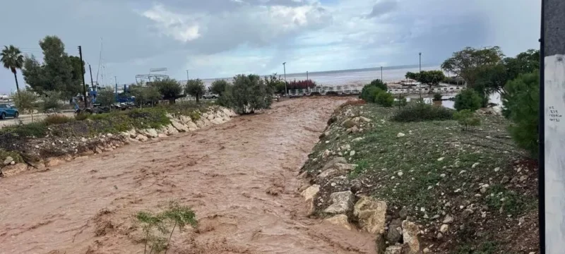 polis-large_thumbnail (1)