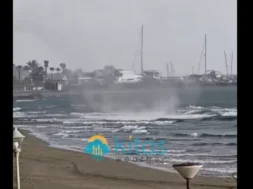 screenshot_2025_12_21_153954-thumb