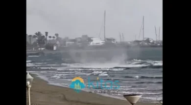 screenshot_2025_12_21_153954-thumb