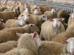 CREATOR: gd-jpeg v1.0 (using IJG JPEG v62), quality = 90