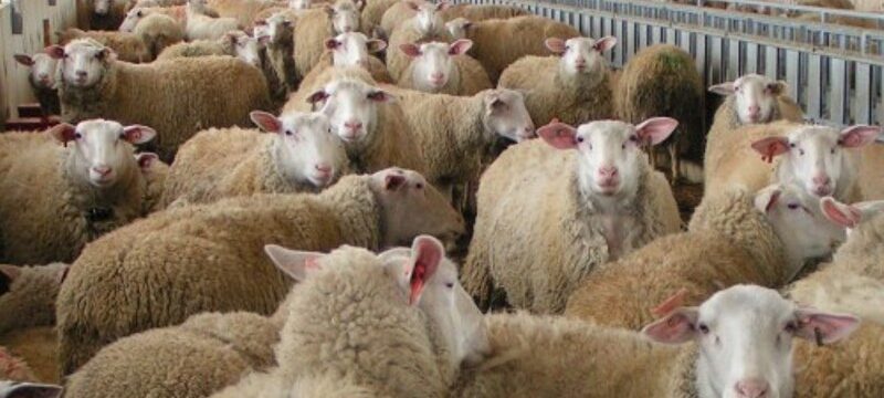 CREATOR: gd-jpeg v1.0 (using IJG JPEG v62), quality = 90