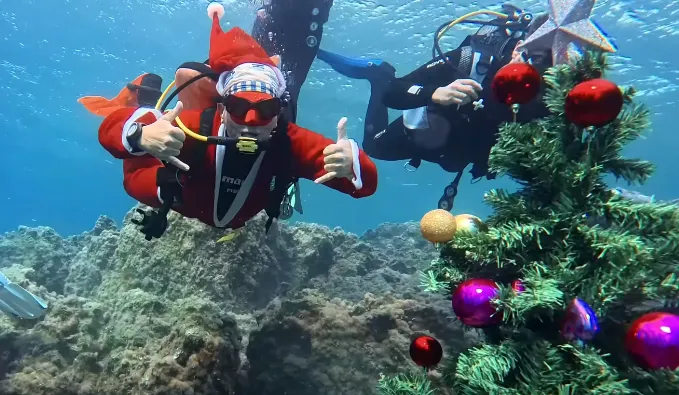 Έ&nu;&alpha; &chi;&rho;&iota;&sigma;&tau;&omicron;&upsilon;&gamma;&epsilon;&nu;&nu;&iota;ά&tau;&iota;&kappa;&omicron; &delta;έ&nu;&tau;&rho;&omicron; &sigma;&tau;&omicron;&nu; &beta;&upsilon;&theta;ό &tau;&omicron;&upsilon; &Pi;&rho;&omega;&tau;&alpha;&rho;ά