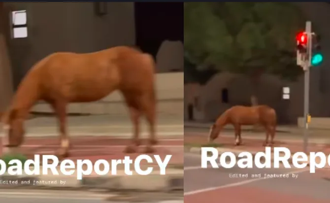 Νυχτερινές βόλτες αλόγου στους δρόμους του Πρωταρά  (φώτο)