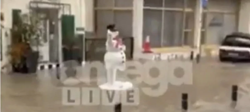 xionanthropos-1536×885