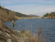 ydatofraktes_psarema-large_thumbnail