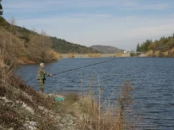 ydatofraktes_psarema-large_thumbnail