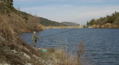 ydatofraktes_psarema-large_thumbnail