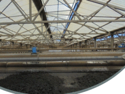 ΒΙΟΛΟΓΙΚΉ ΛΑΣΠΗ