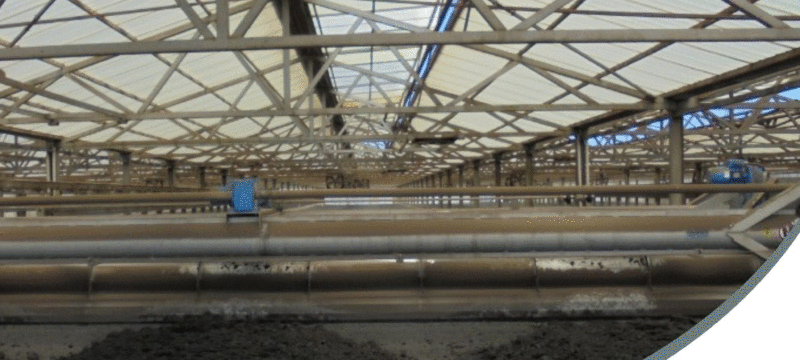 ΒΙΟΛΟΓΙΚΉ ΛΑΣΠΗ