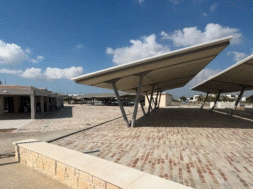 ΝΕΑ ΑΓΟΡΑ ΔΕΡΥΝΕΙΑΣ